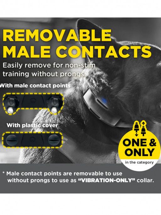 Pack de dressage 1200X Black Edition 1 chien Dogtra