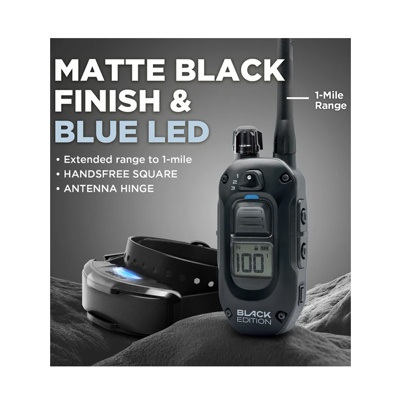 Pack de dressage 1200X Black Edition 1 chien Dogtra