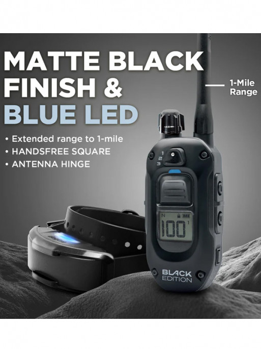 Pack de dressage 1200X Black Edition 1 chien Dogtra