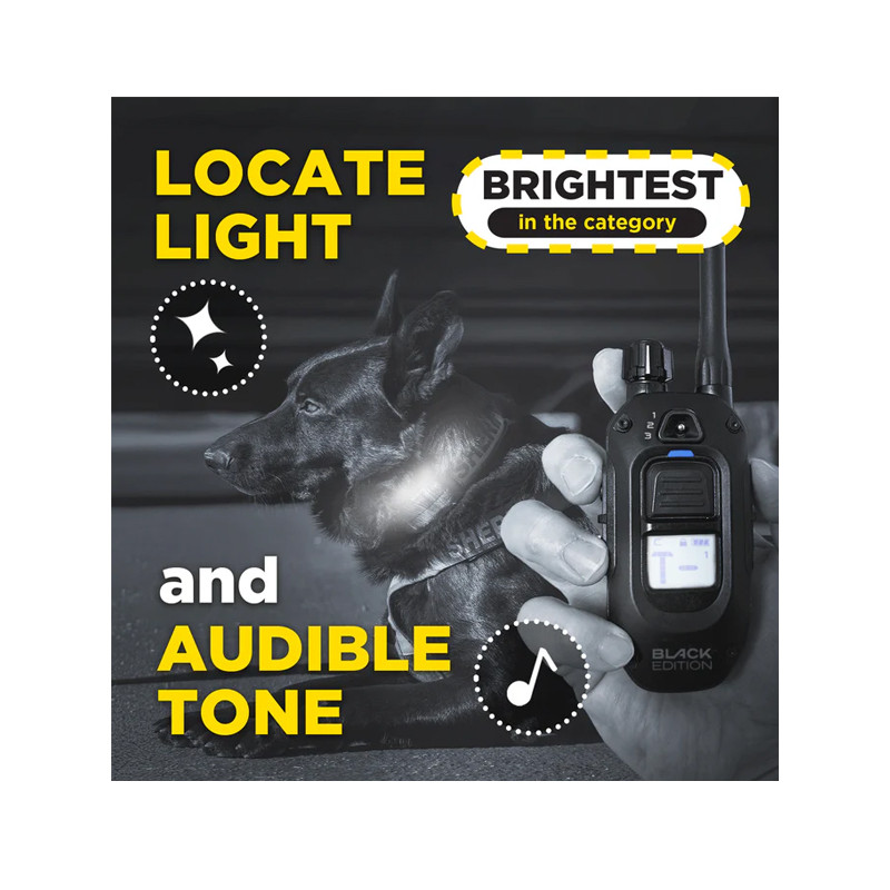 Pack de dressage 1200X Black Edition 1 chien Dogtra