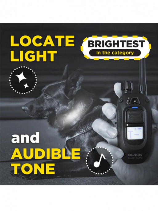 Pack de dressage 1200X Black Edition 1 chien Dogtra