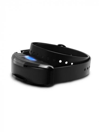 Collier supplémentaire 1200X Black Edition Dogtra