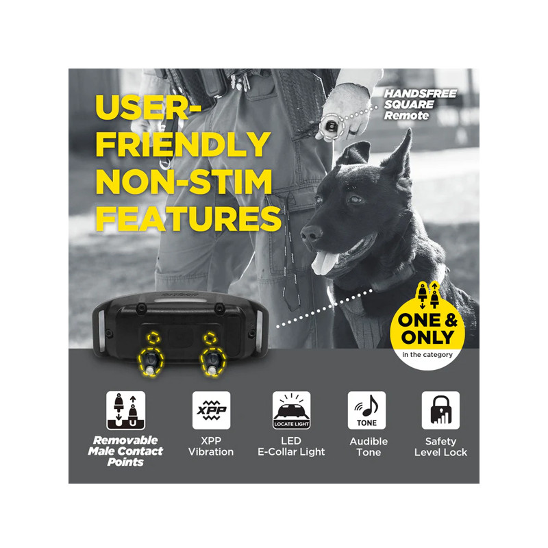 Collier supplémentaire 1200X Black Edition Dogtra