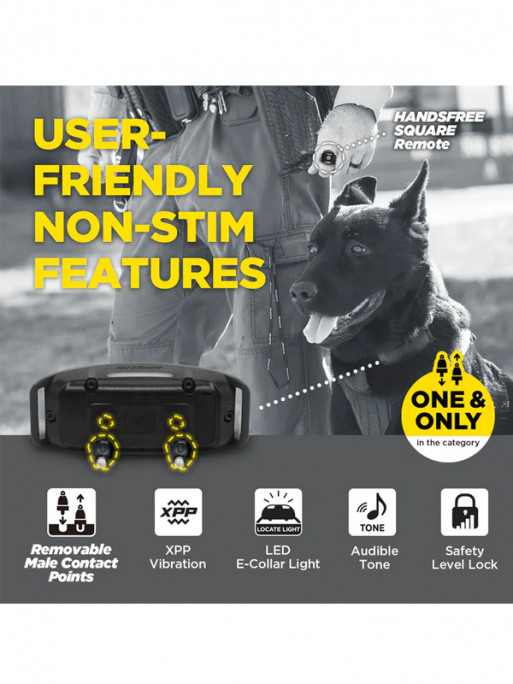 Collier supplémentaire 1200X Black Edition Dogtra