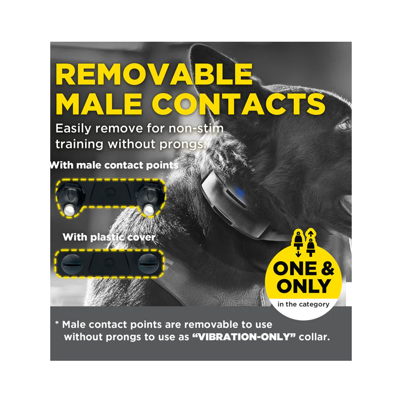 Collier supplémentaire 1200X Black Edition Dogtra