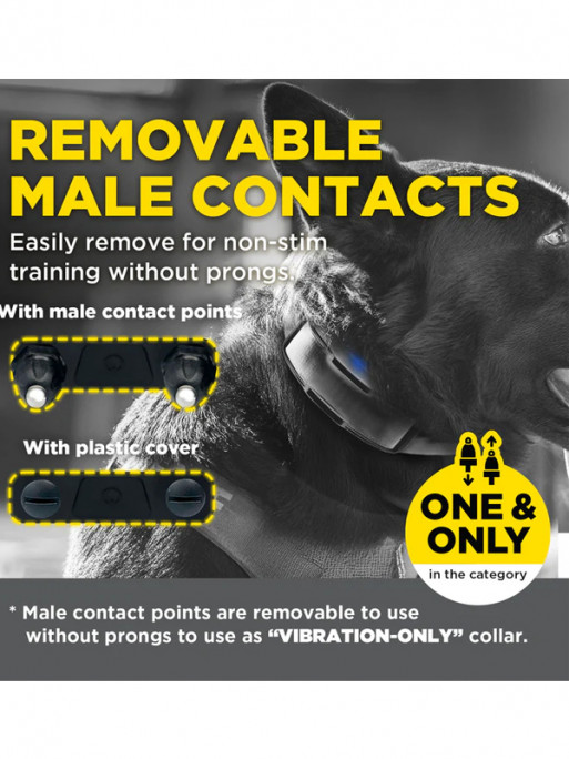 Collier supplémentaire 1200X Black Edition Dogtra