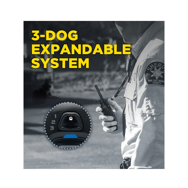 Emetteur pour 1200X Black Edition Dogtra