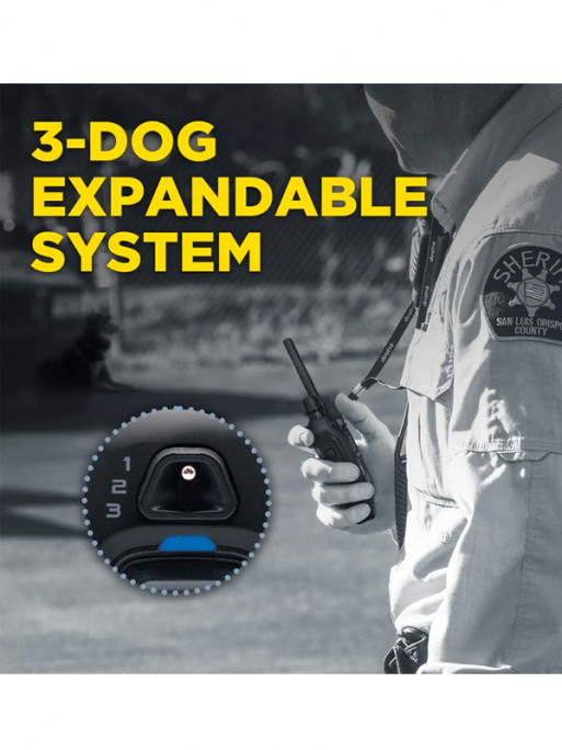 Emetteur pour 1200X Black Edition Dogtra