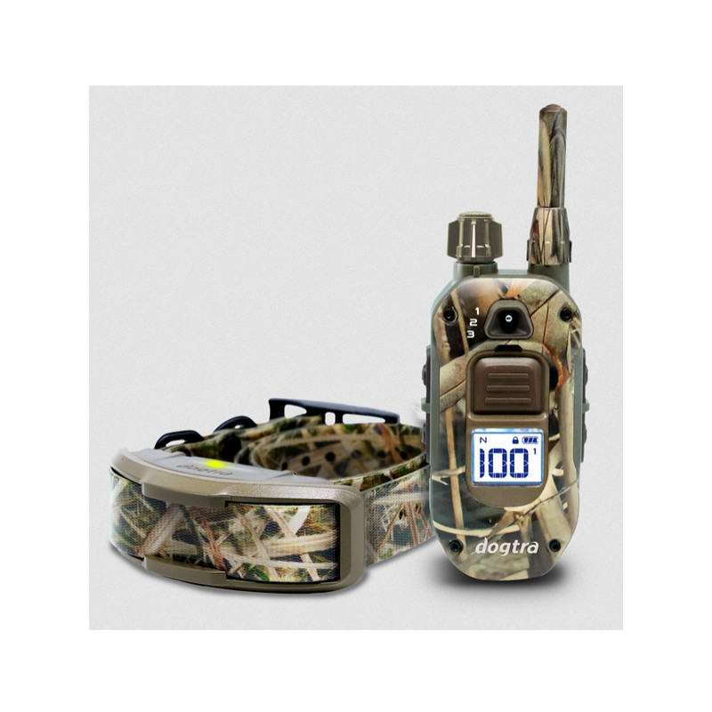 Pack de dressage 1200X Camo Edition 1 chien Dogtra