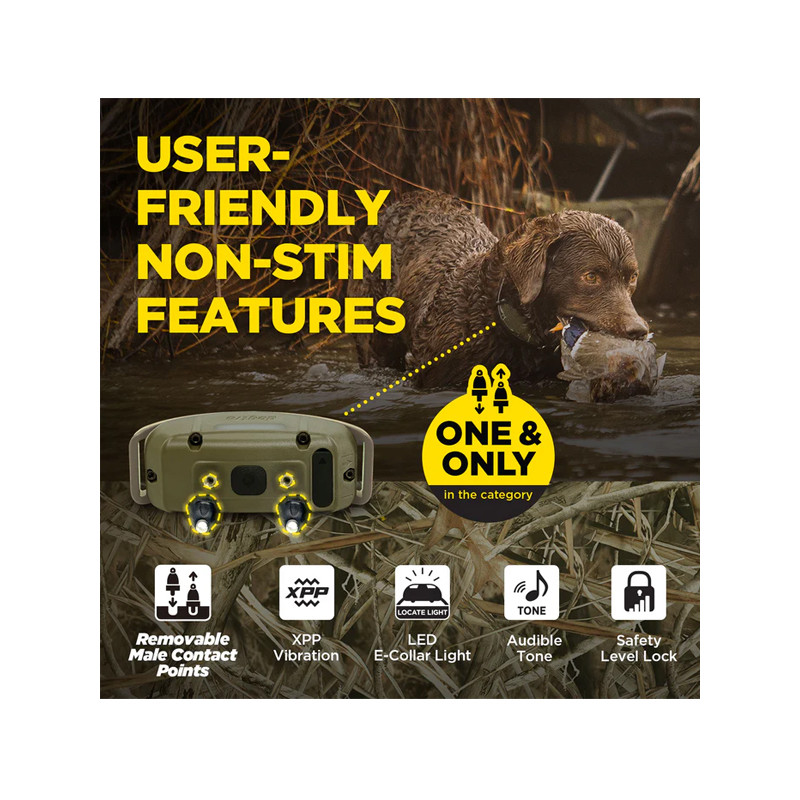 Pack de dressage 1200X Camo Edition 1 chien Dogtra