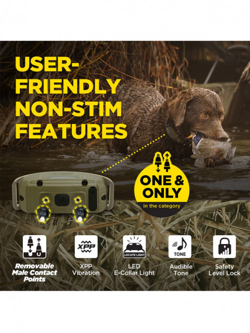 Pack de dressage 1200X Camo Edition 1 chien Dogtra