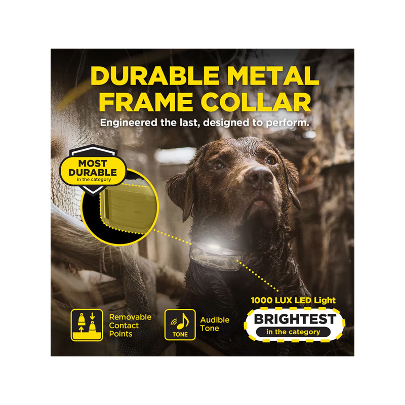 Pack de dressage 1200X Camo Edition 1 chien Dogtra