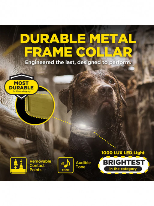 Pack de dressage 1200X Camo Edition 1 chien Dogtra