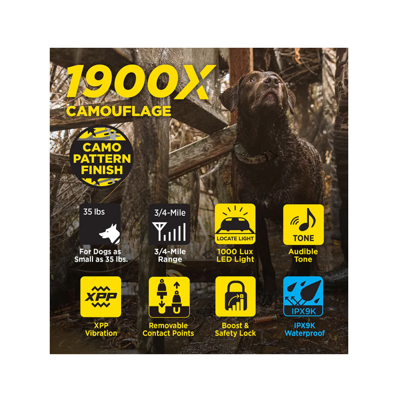 Pack de dressage 1200X Camo Edition 1 chien Dogtra