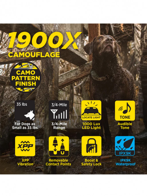 Pack de dressage 1200X Camo Edition 1 chien Dogtra