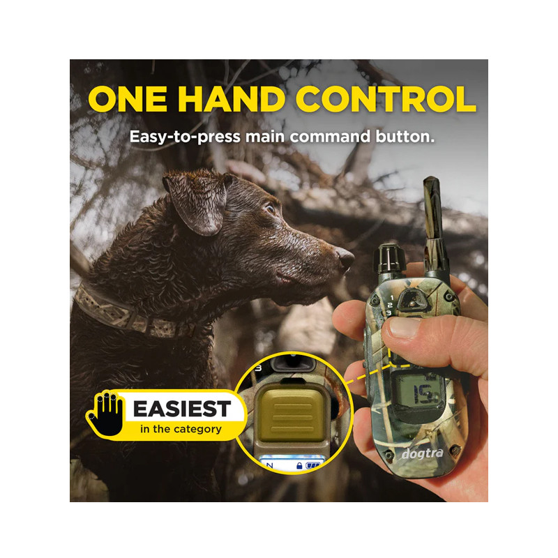 Pack de dressage 1200X Camo Edition 1 chien Dogtra
