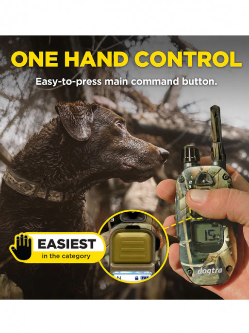 Pack de dressage 1200X Camo Edition 1 chien Dogtra