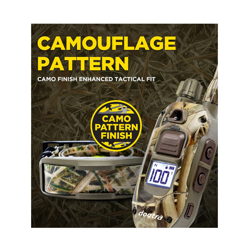 Pack de dressage 1200X Camo Edition 1 chien Dogtra