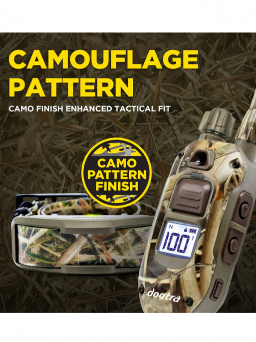 Pack de dressage 1200X Camo Edition 1 chien Dogtra