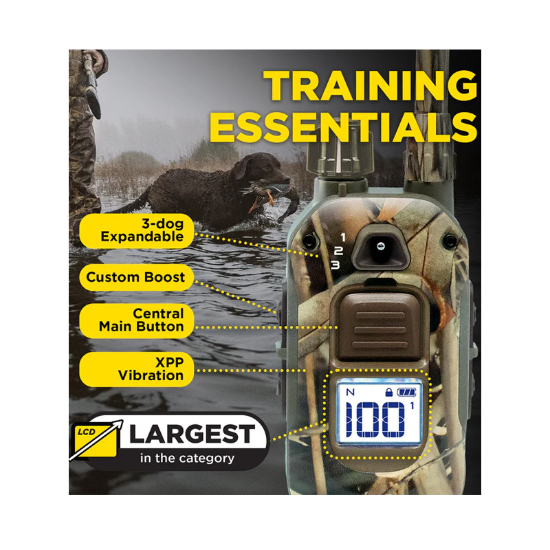 Pack de dressage 1200X Camo Edition 1 chien Dogtra