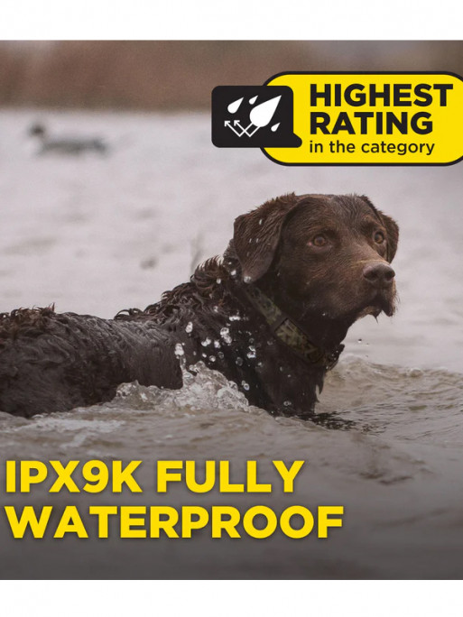 Pack de dressage 1200X Camo Edition 1 chien Dogtra