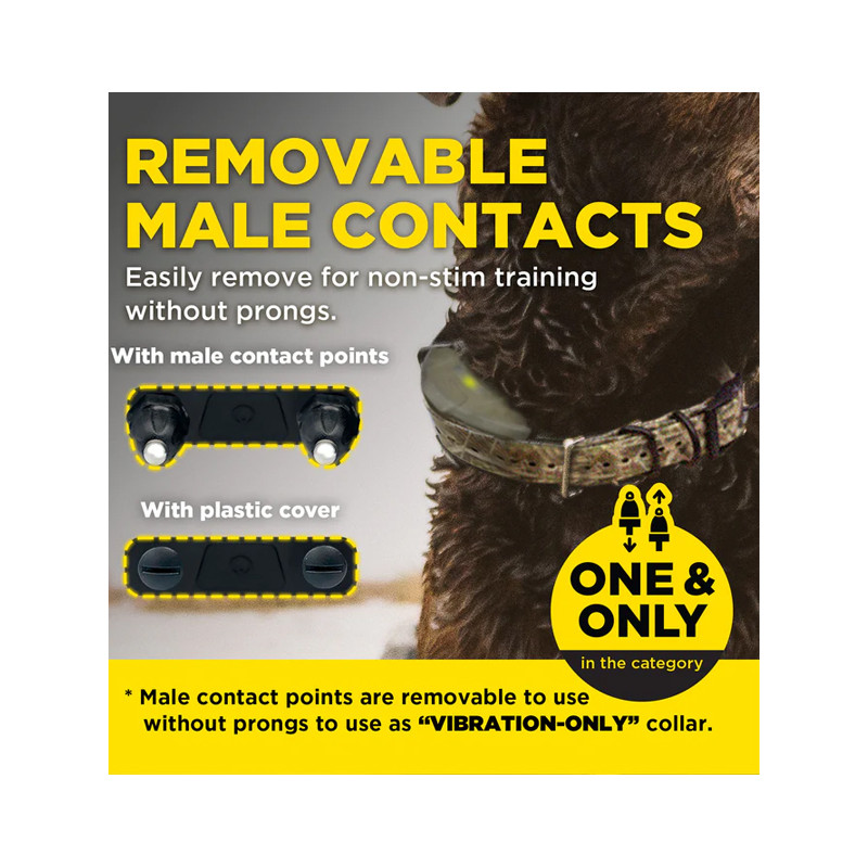 Collier supplémentaire 1200X Camo Edition Dogtra