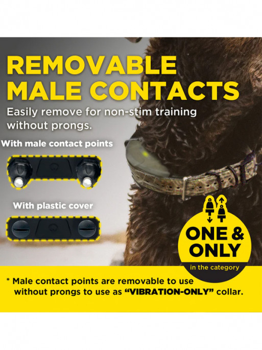 Collier supplémentaire 1200X Camo Edition Dogtra