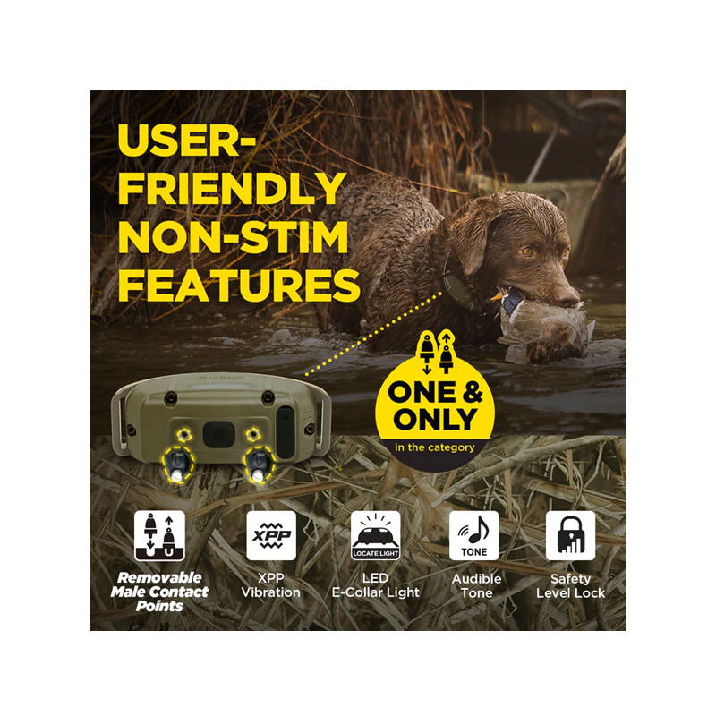 Collier supplémentaire 1200X Camo Edition Dogtra