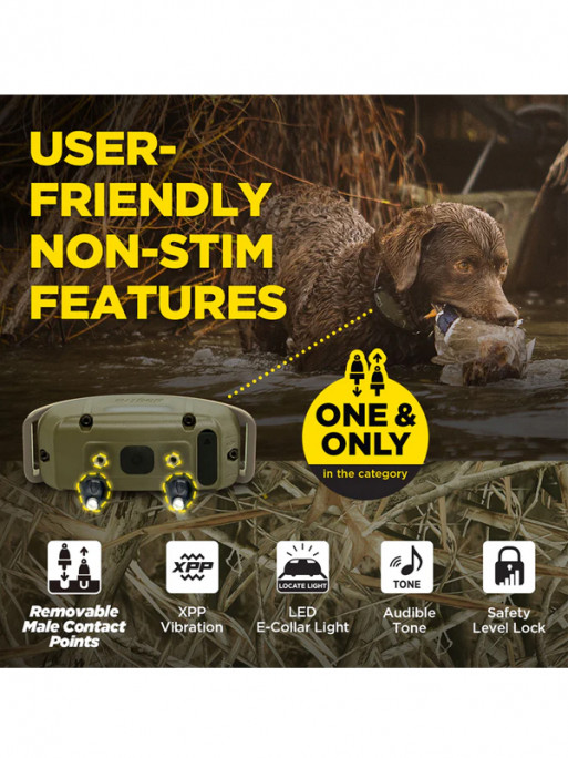 Collier supplémentaire 1200X Camo Edition Dogtra