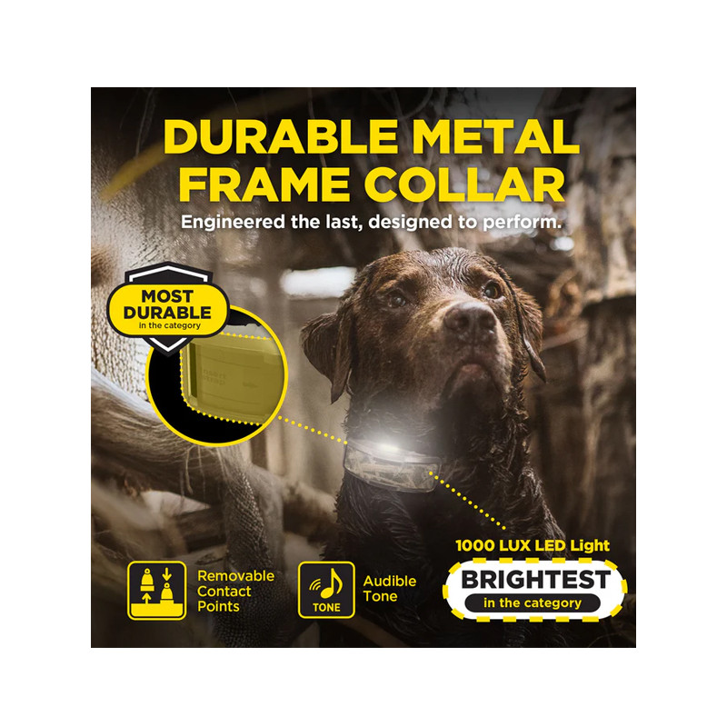 Collier supplémentaire 1200X Camo Edition Dogtra