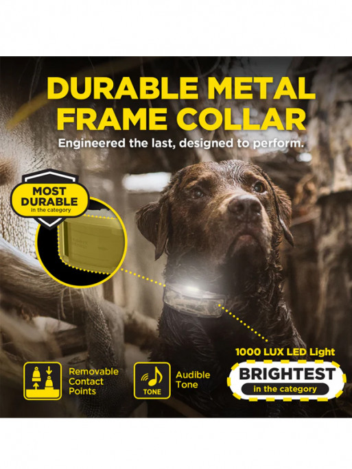 Collier supplémentaire 1200X Camo Edition Dogtra