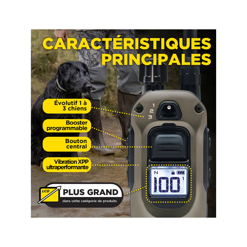 Pack de dressage 1200X 1 chien Dogtra