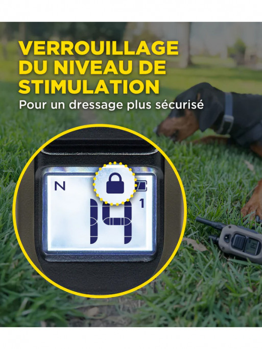 Pack de dressage 1200X 1 chien Dogtra