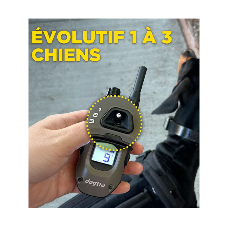 Pack de dressage 1200X 1 chien Dogtra