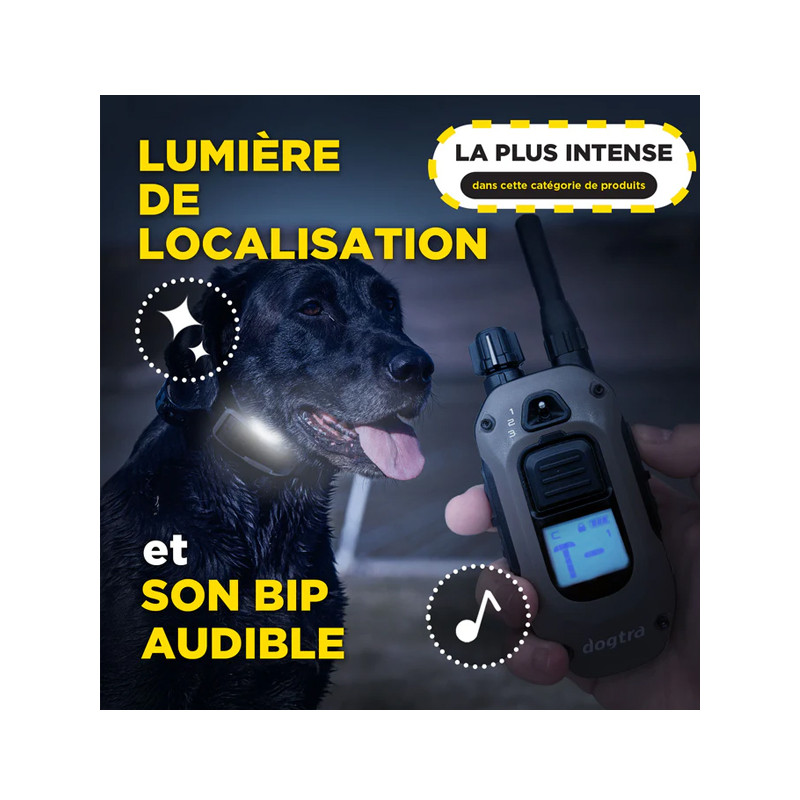 Pack de dressage 1200X 1 chien Dogtra