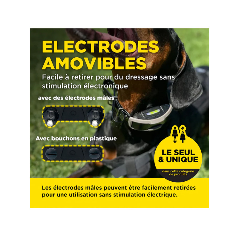 Pack de dressage 1200X 1 chien Dogtra