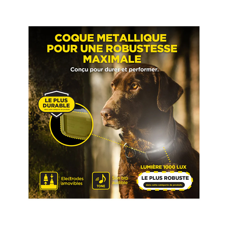 Pack de dressage 1200X 1 chien Dogtra