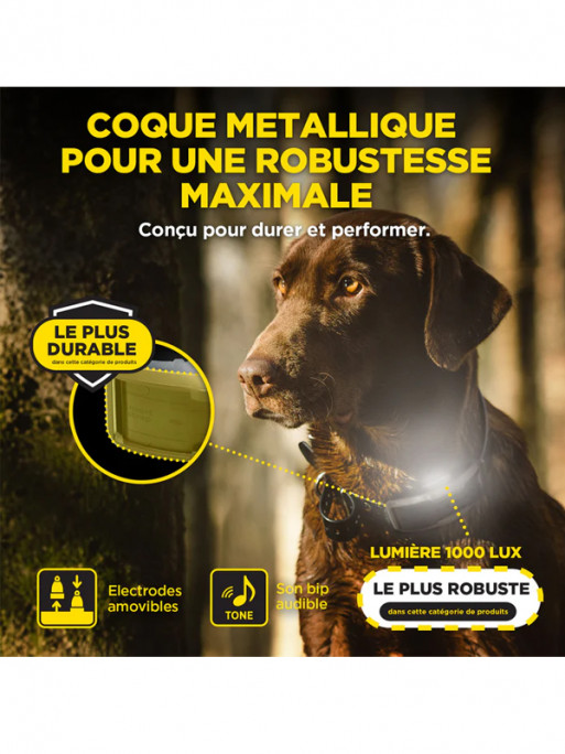 Pack de dressage 1200X 1 chien Dogtra