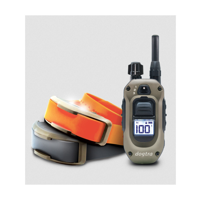 Pack de dressage 1200X 2 chiens Dogtra