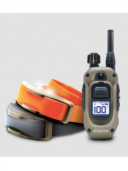 Pack de dressage 1200X 2 chiens Dogtra