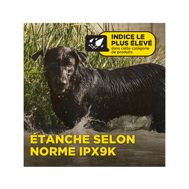 Pack de dressage 1200X 2 chiens Dogtra