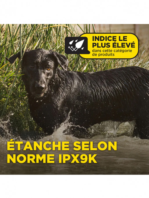 Pack de dressage 1200X 2 chiens Dogtra