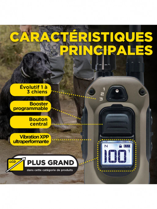 Pack de dressage 1200X 2 chiens Dogtra