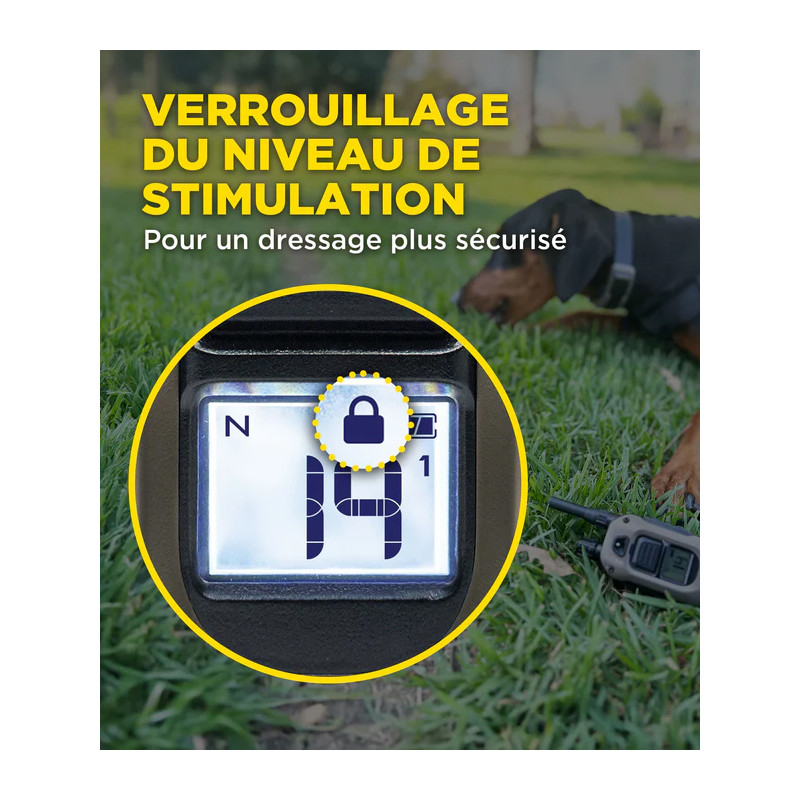 Pack de dressage 1200X 2 chiens Dogtra