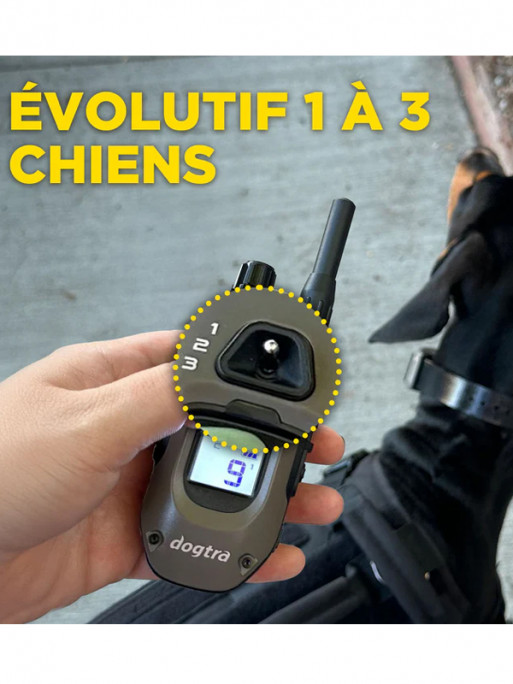 Pack de dressage 1200X 2 chiens Dogtra