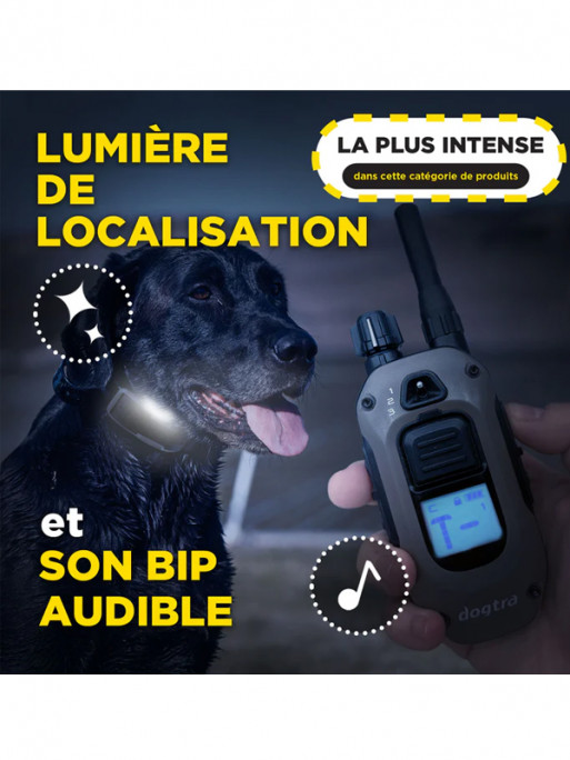 Pack de dressage 1200X 2 chiens Dogtra