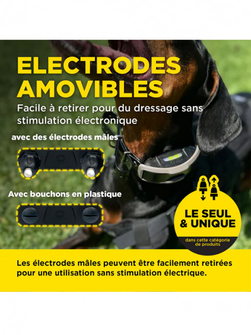 Pack de dressage 1200X 2 chiens Dogtra