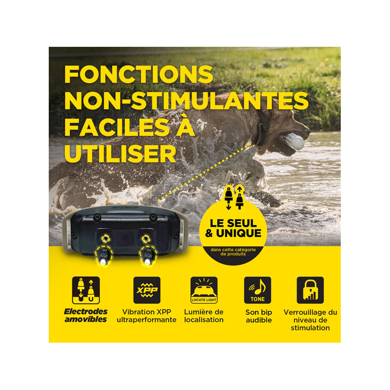 Pack de dressage 1200X 2 chiens Dogtra