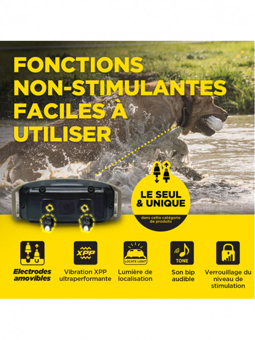 Pack de dressage 1200X 2 chiens Dogtra