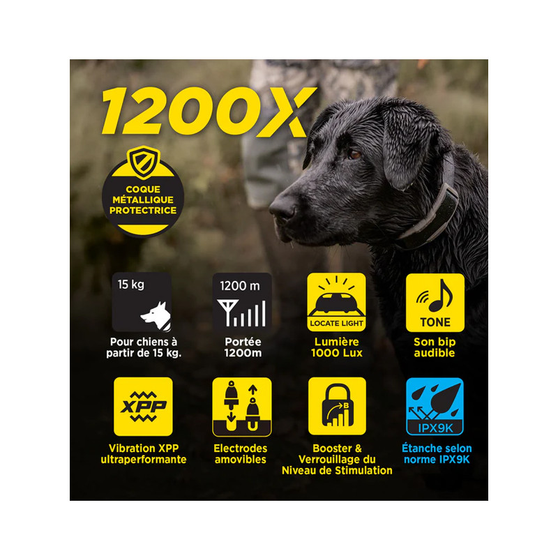 Pack de dressage 1200X 2 chiens Dogtra